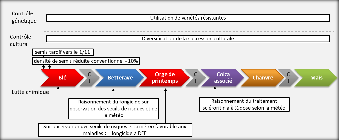 Schéma décisionnel de gestion des ravageurs système B2