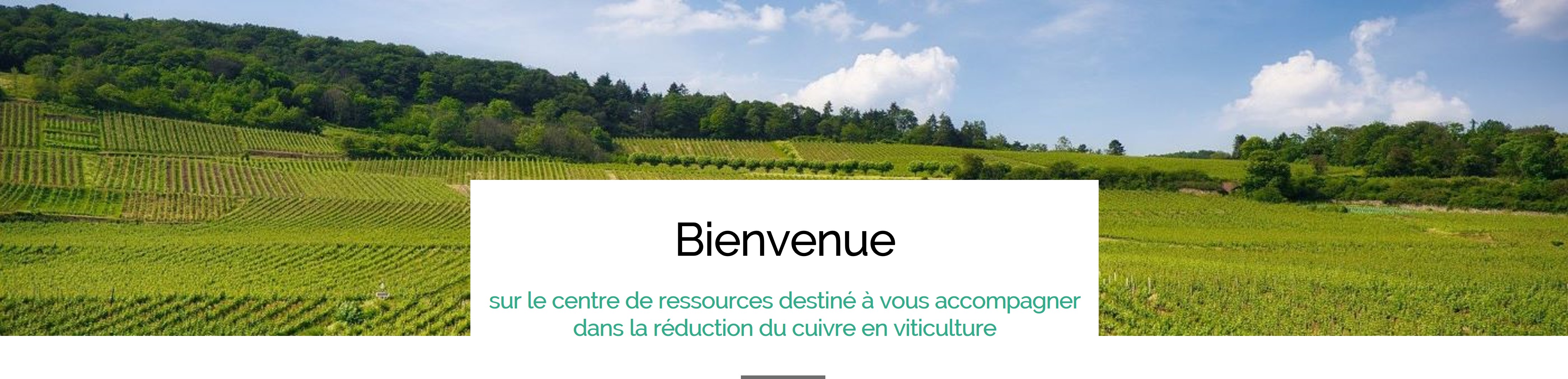 Bienvenue sur le centre de ressources Cuivre en viticulture