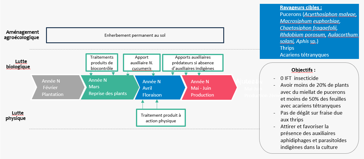 Schéma décisionnel de gestion des ravageurs Douville