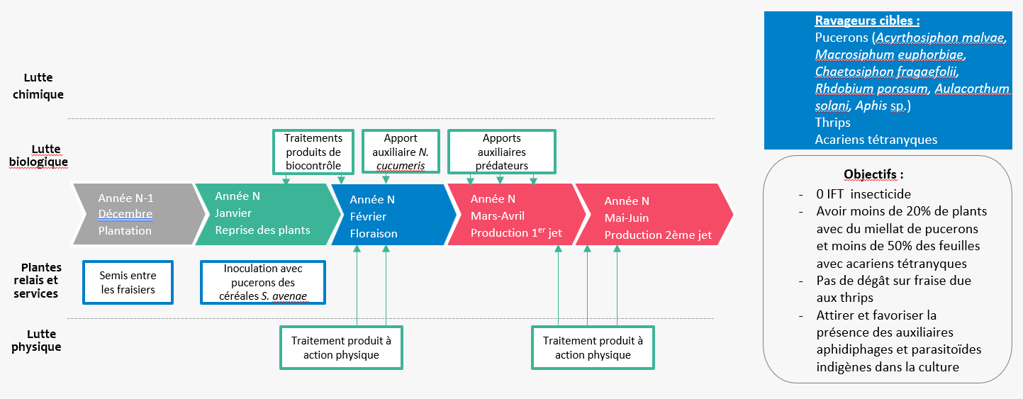 Schéma décisionnel de gestion des ravageurs