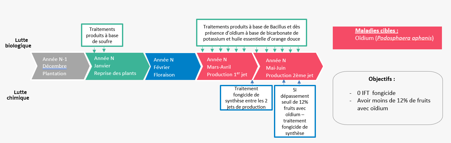 Schéma décisionnel de gestion de l'oïdium