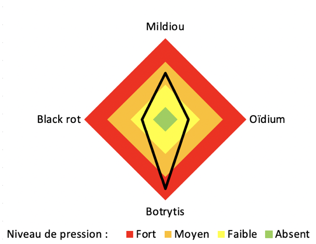 schéma du niveau de pression relatif aux maladies