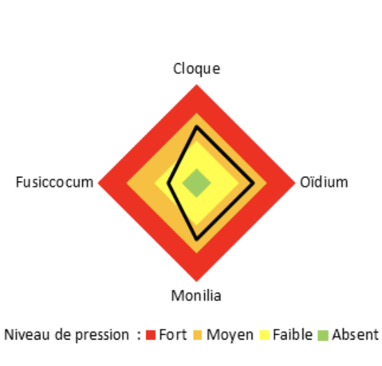 niveau de pression maladies