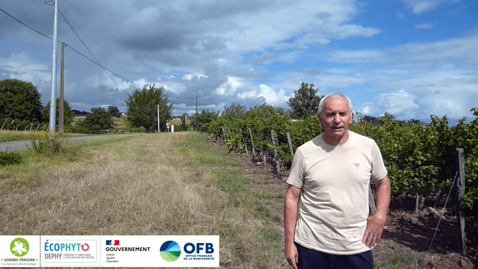 viticulteur dans sa parcelle