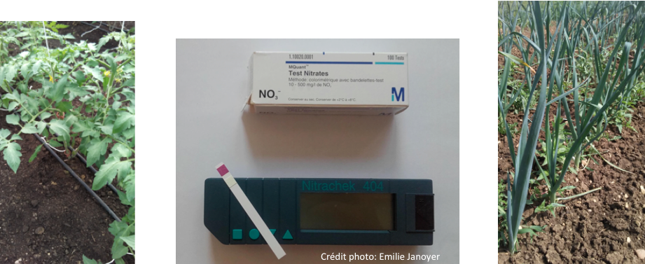 Nitratest et cultures