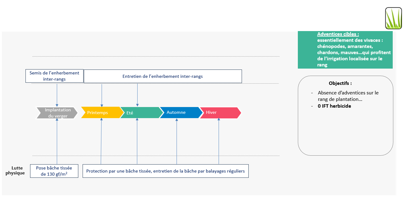 Schéma décisionnel protection adventices
