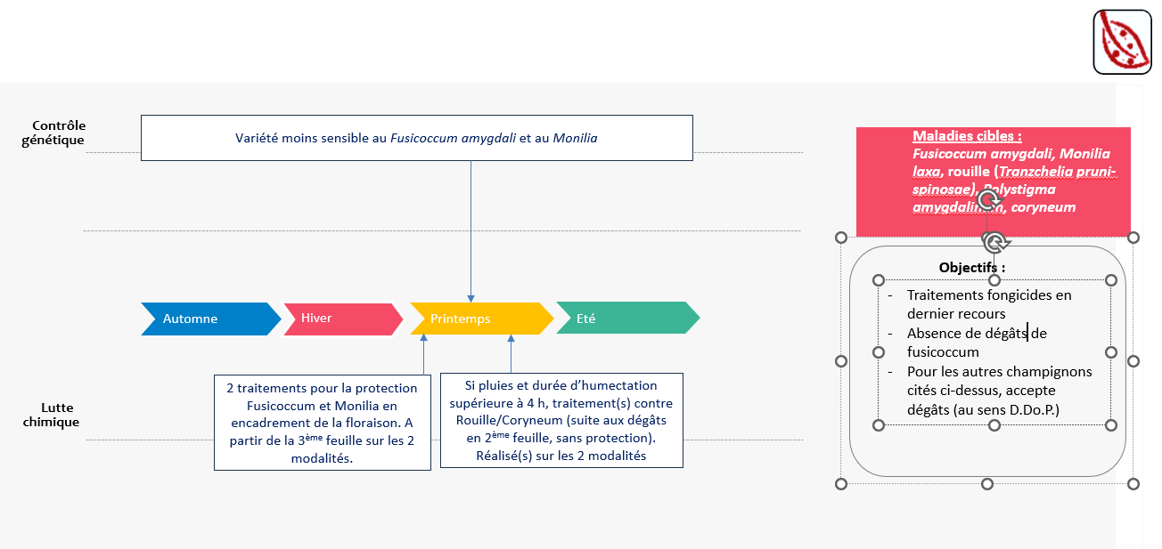 Schéma décisionnel protection maladies