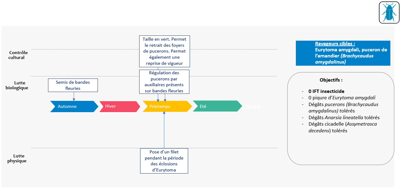 Shéma décisionnel protection ravageurs