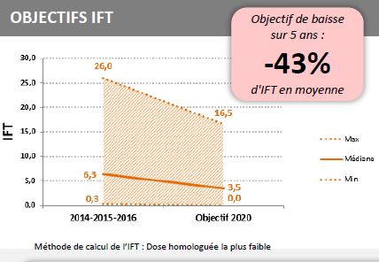 Objectif IFT du groupe à long terme