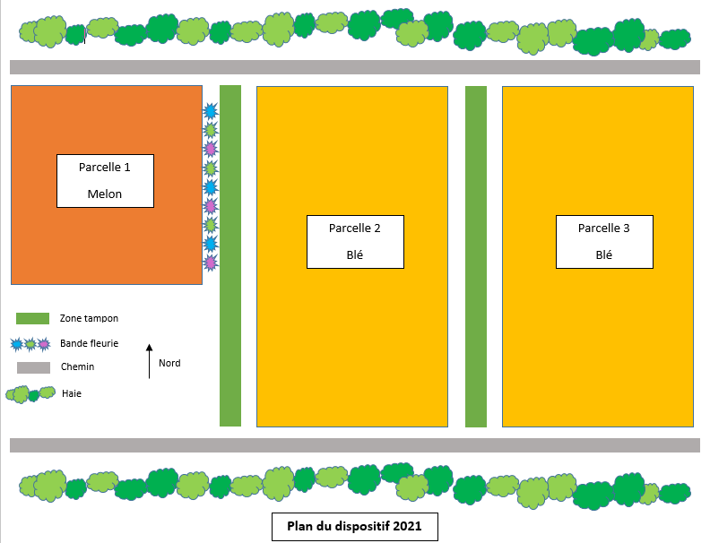 Plan dispositif 2021