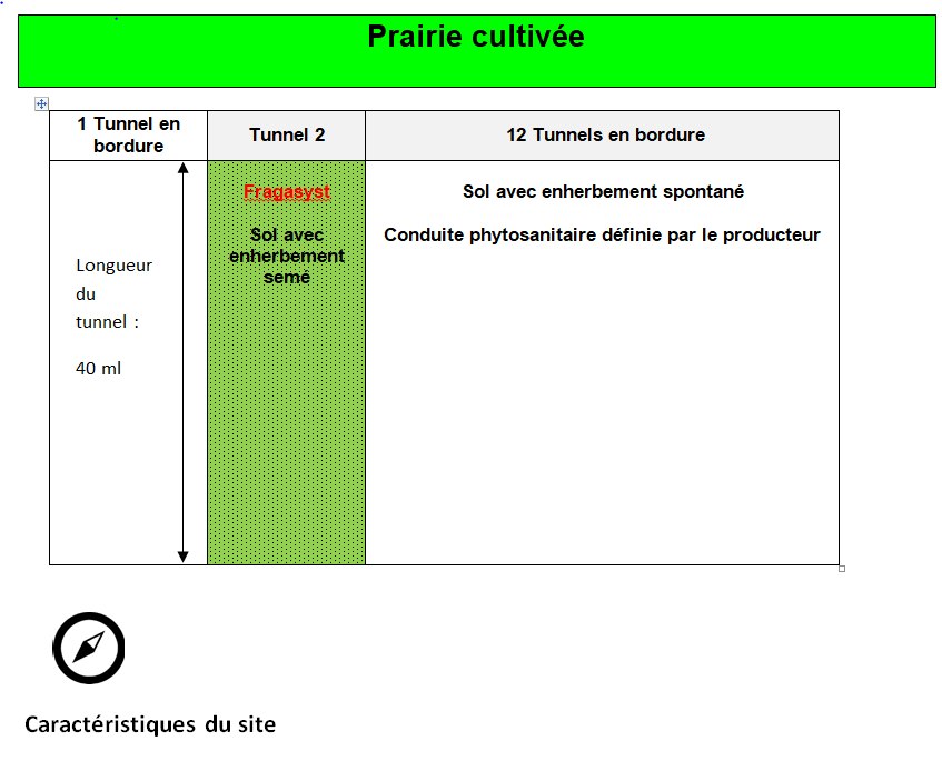 Dispositif expérimental