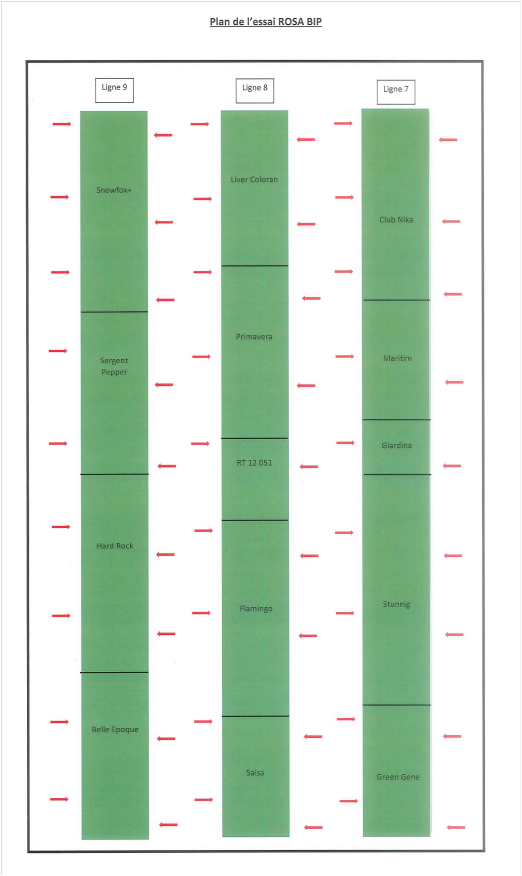 Cartographie parcellaire et points de notations matérialisés par les flèches rouges
