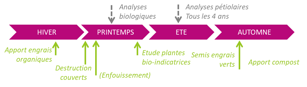 Maintenir la fertilité des sols pour favoriser les défenses naturelles de la vigne
