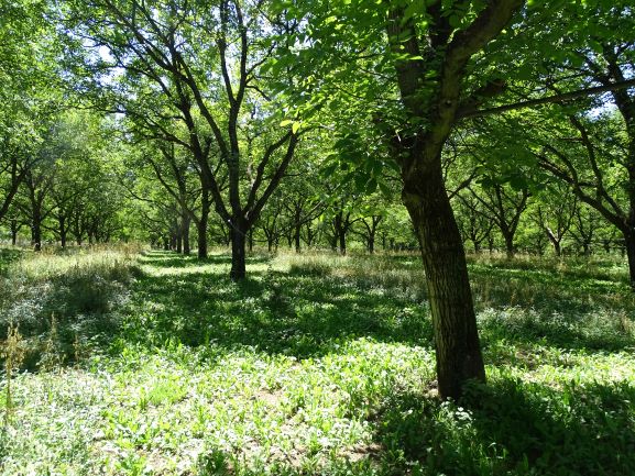 Photo du système sysnoix juillet 2020 