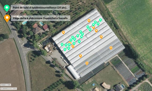 Cartographie des points suivi hebdomadairement pour le suivi des ravageurs