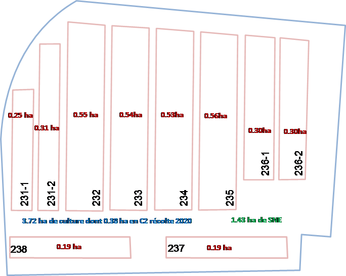 Dispositif expérimental Grandes Cultures bio Autonome  Boigneville ARVALIS