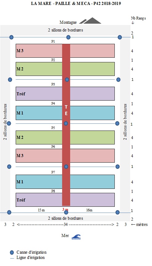 Dispositig expérimentale de l'essai