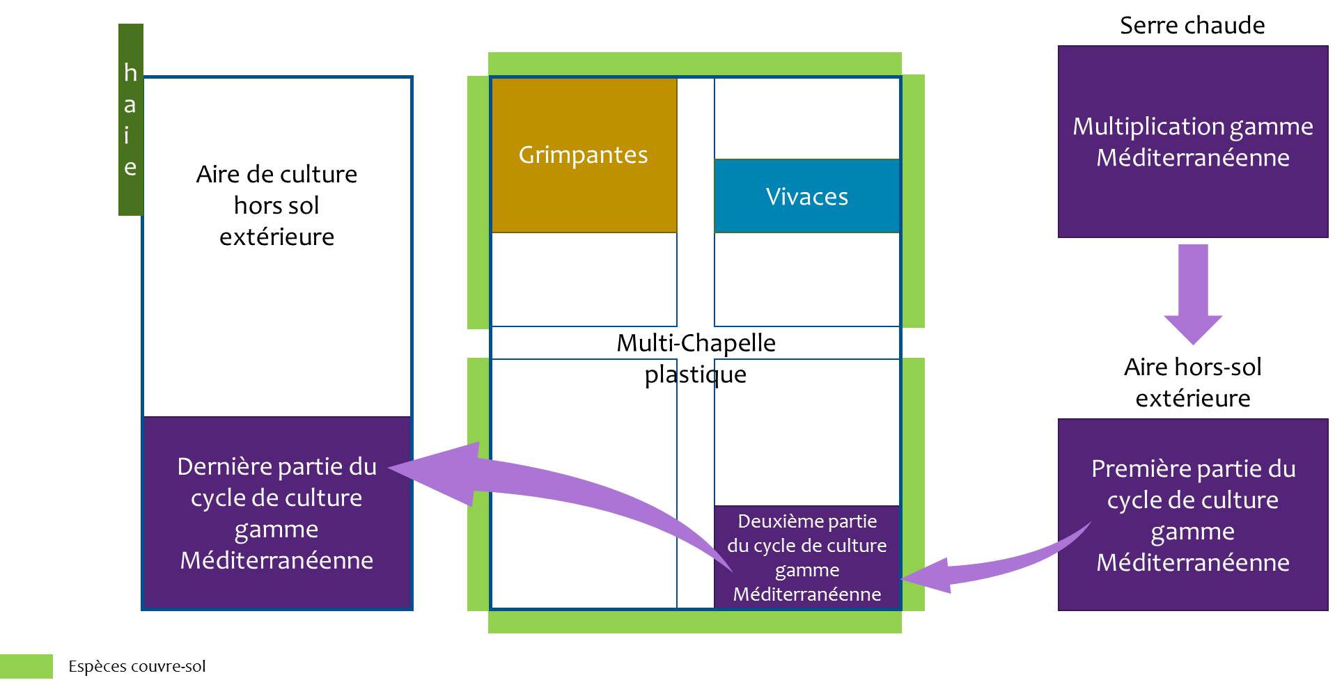 Dispositif expérimental pour le projet HORTIPEPI2 à ALB-CHRC