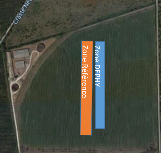 Dispositif expérimental Site 2 - Projet AlterCarot