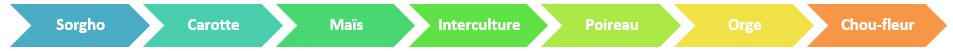 Succession: Sorgho-Carotte-Maïs-IC-Poireau-Orge-Chou-fleur