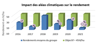 Rendements moyens du groupe