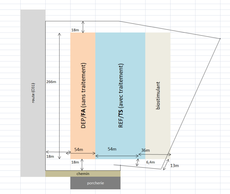 Plan de la parcelle expérimenatle de Pf