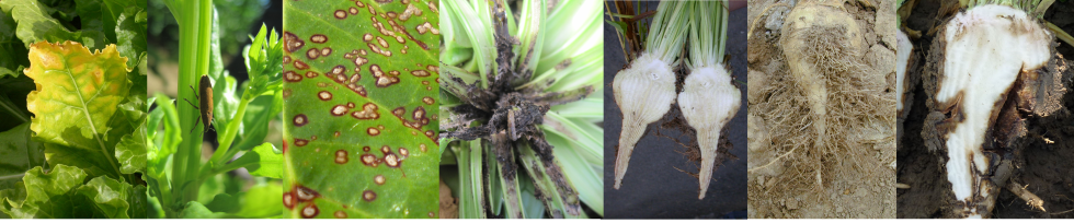 Toutes les fiches déjà créées