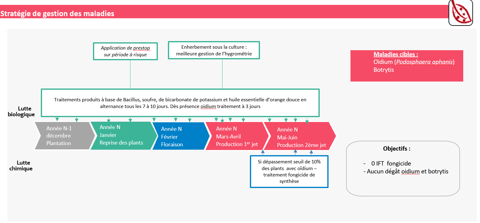 Schéma décisionnel maladies