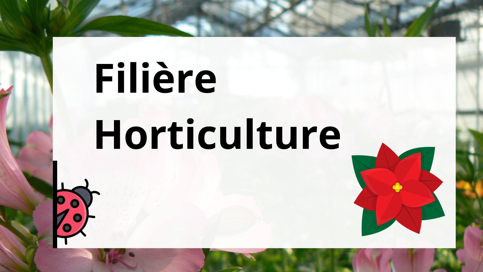 Filière Horticulture