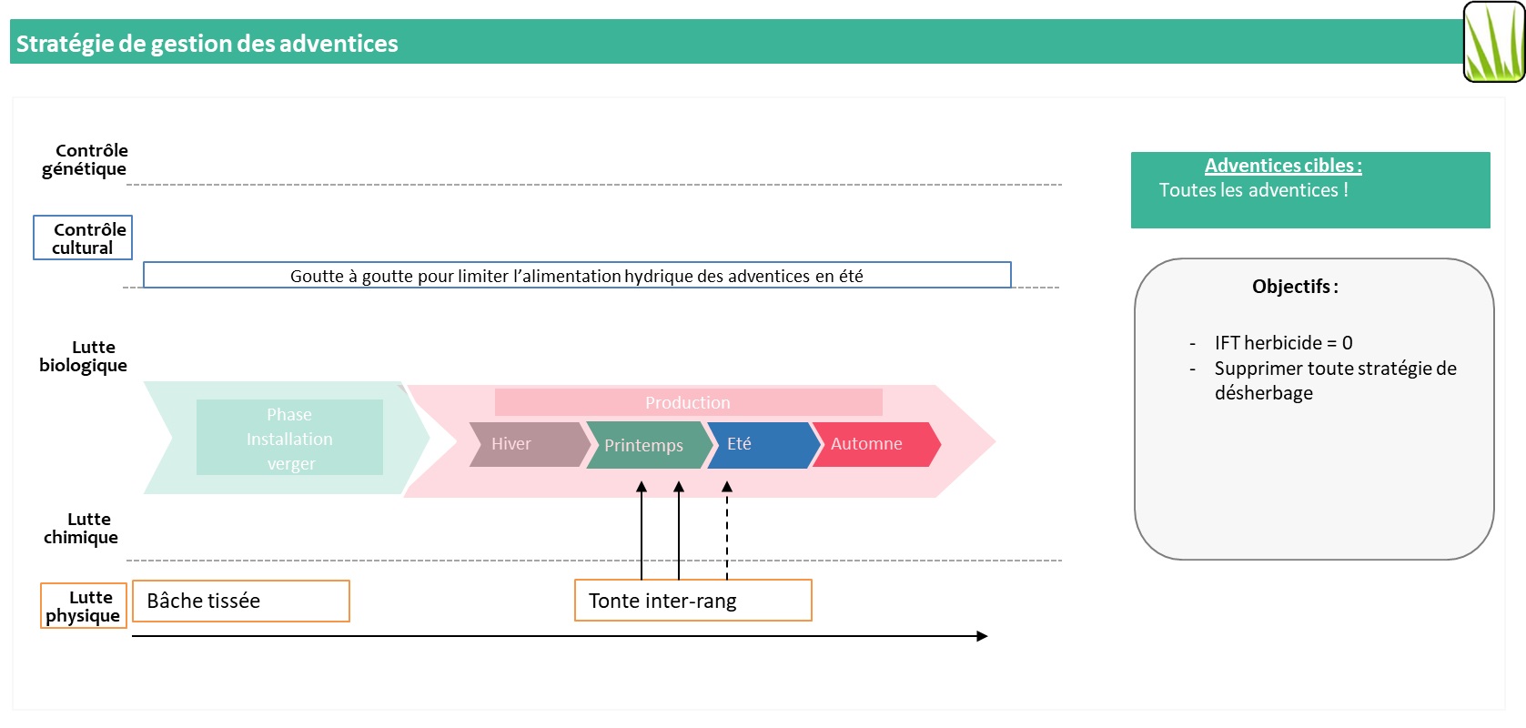 Schéma décisionnel de la gestion des adventices