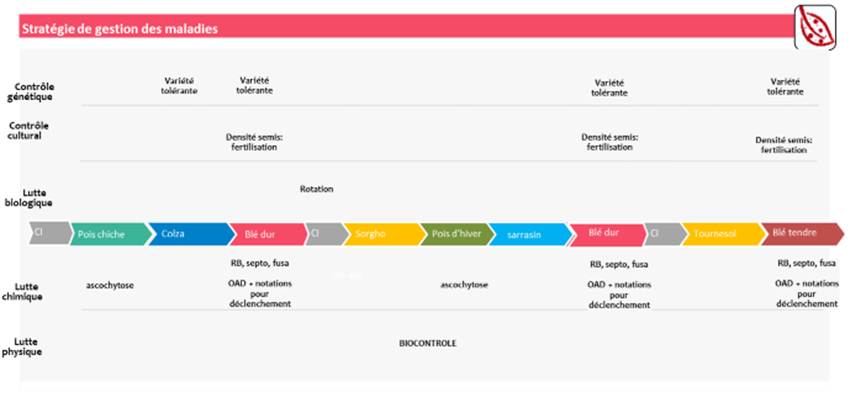 Stratégie de gestion des maladies