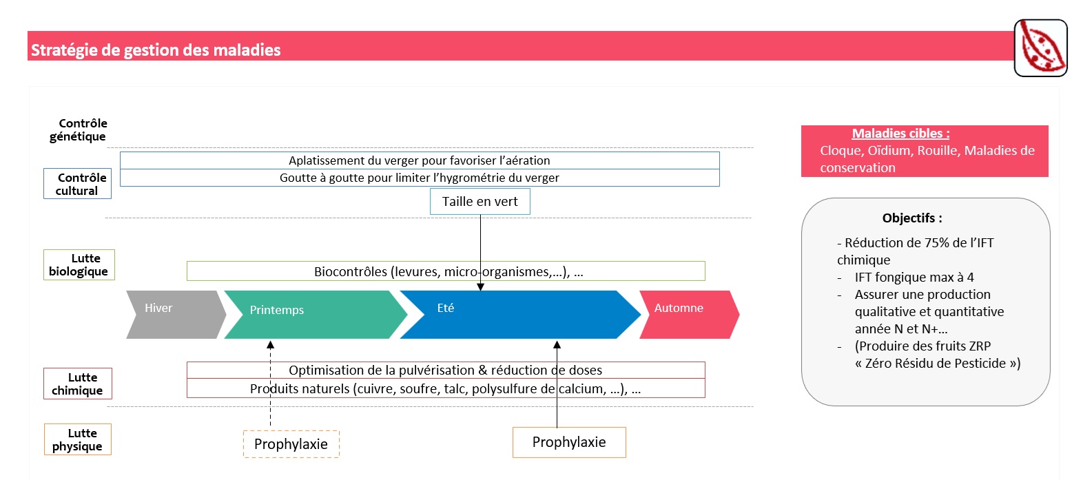 Schéma décisionnel de la gestion des maladies