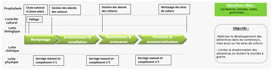 Schéma décisionnel adventices - Projet Hortipépi 2 CATE