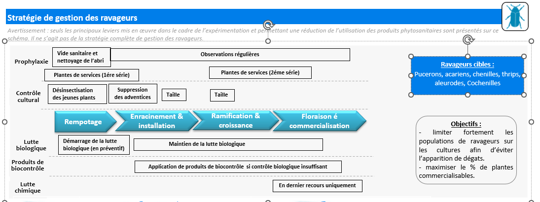 Schéma décisionnel ravageurs - Projet Hortipépi2 CATE