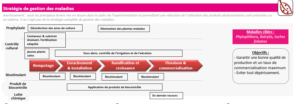 Schéma décisionnel maladies - CATE