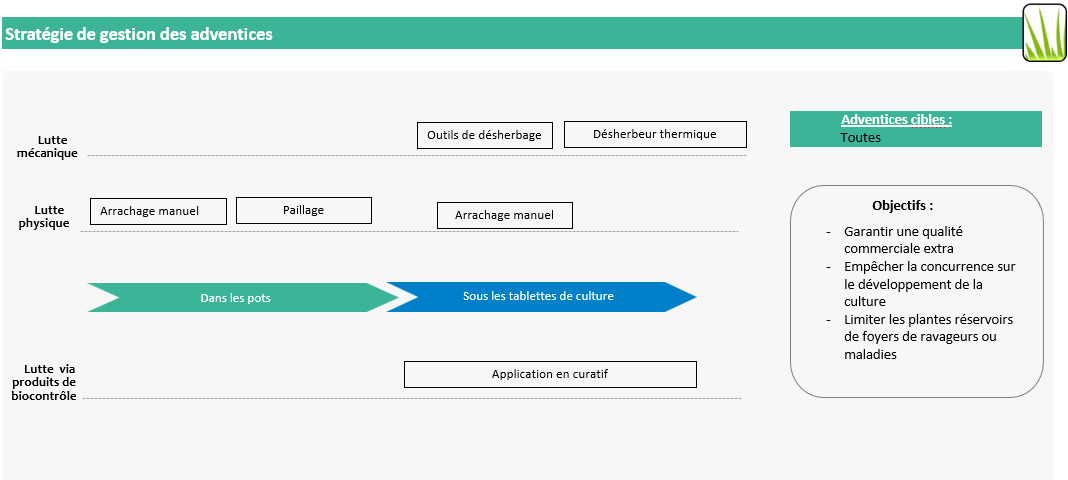 "Stratégies de gestion des adventices sur le projet HORTIPOT 2"