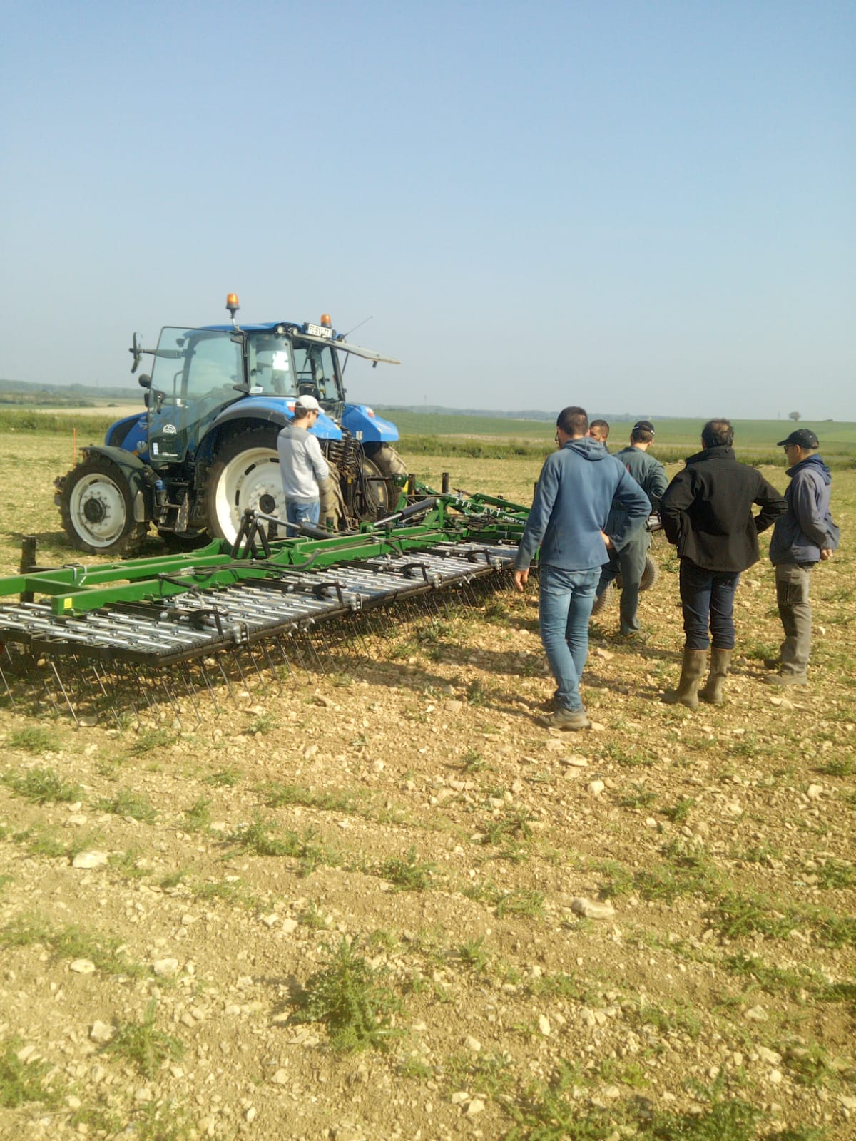 Essais herse étrille sur pois chiche