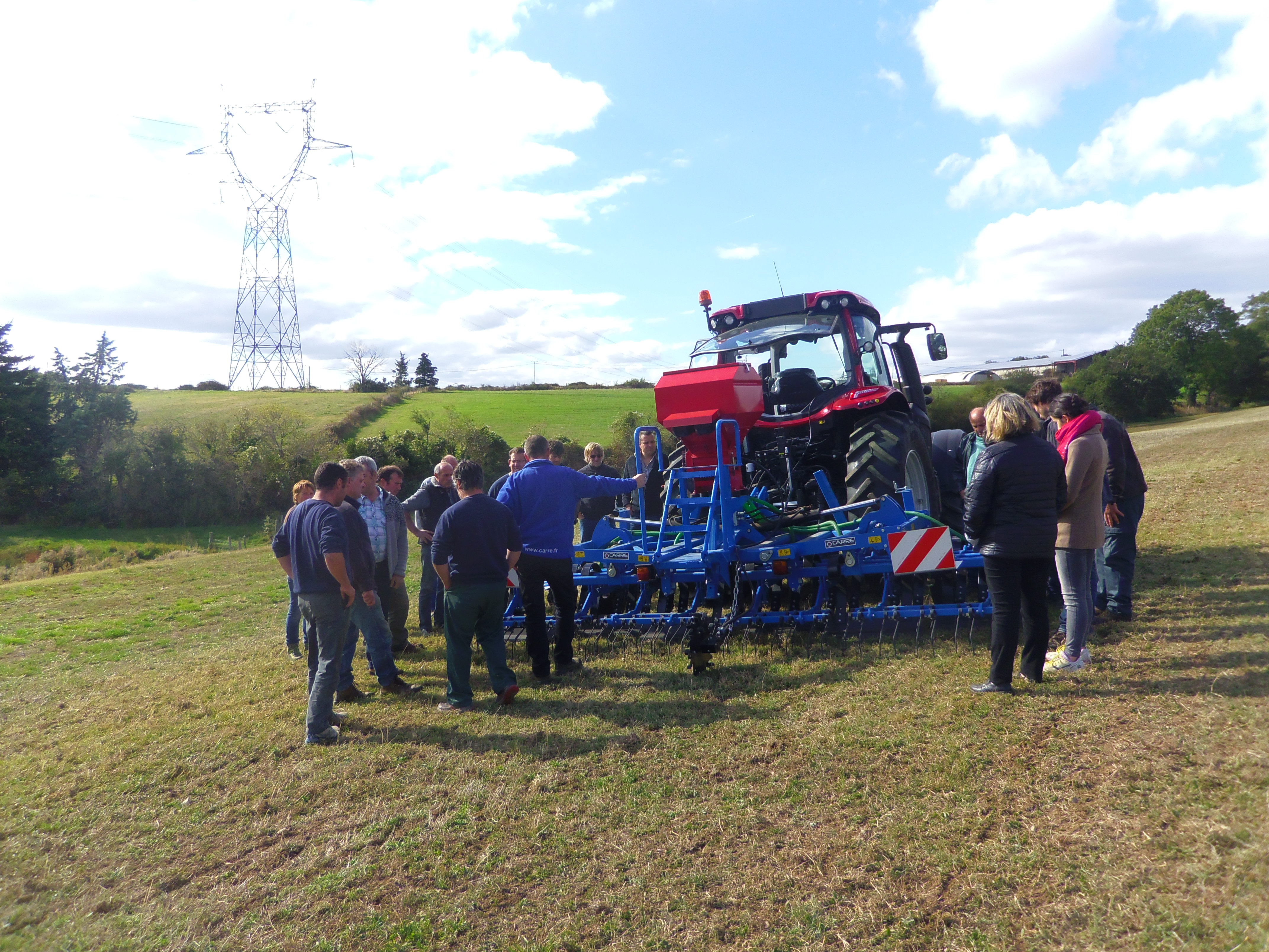 régération de prairie