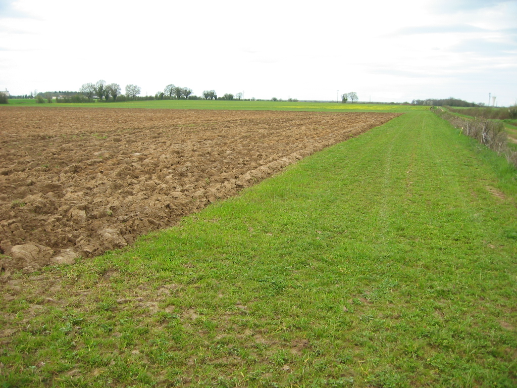 vue du dispositif Rés0Pest de Lusignan