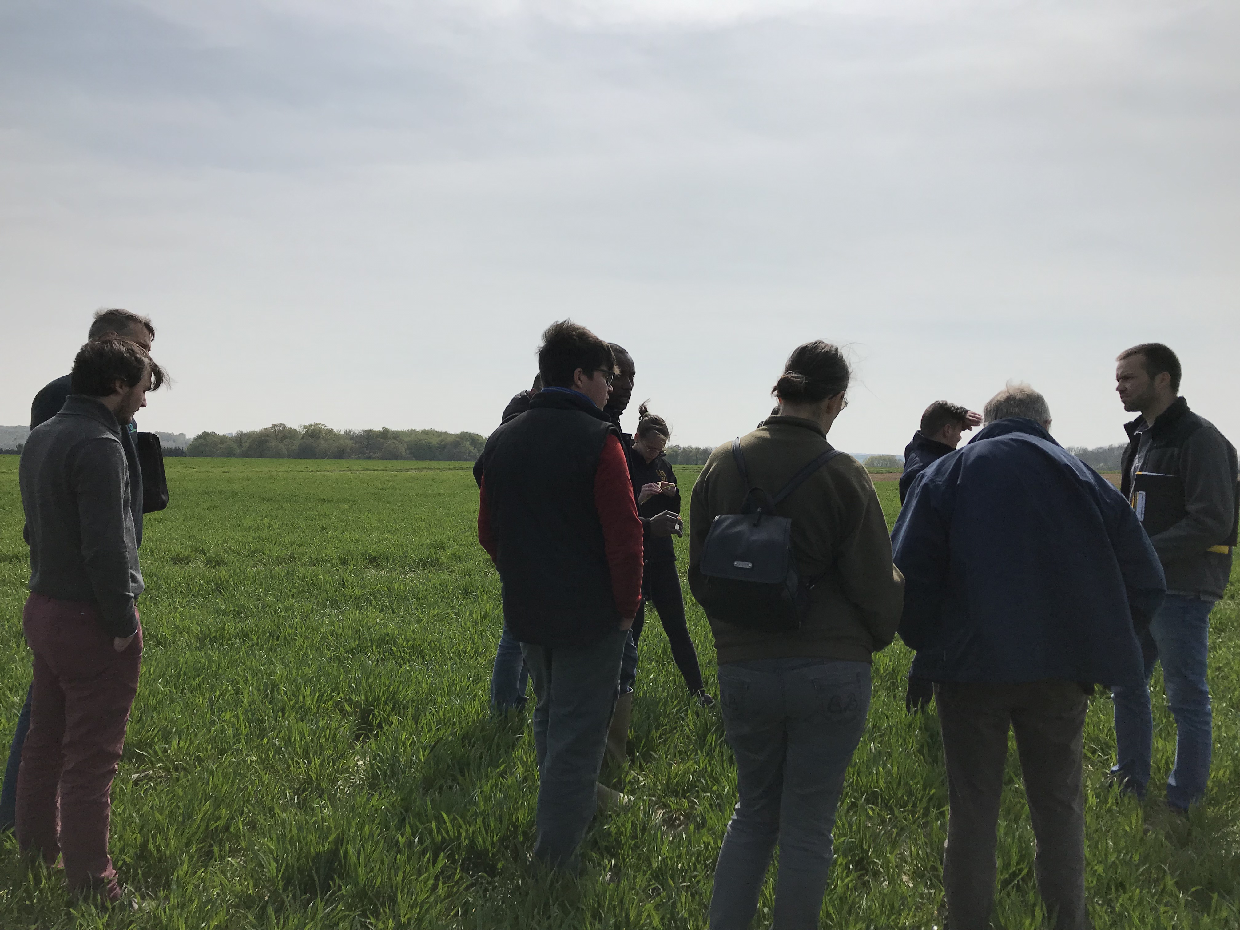 Groupe d'agriculteurs dans un champs de blé