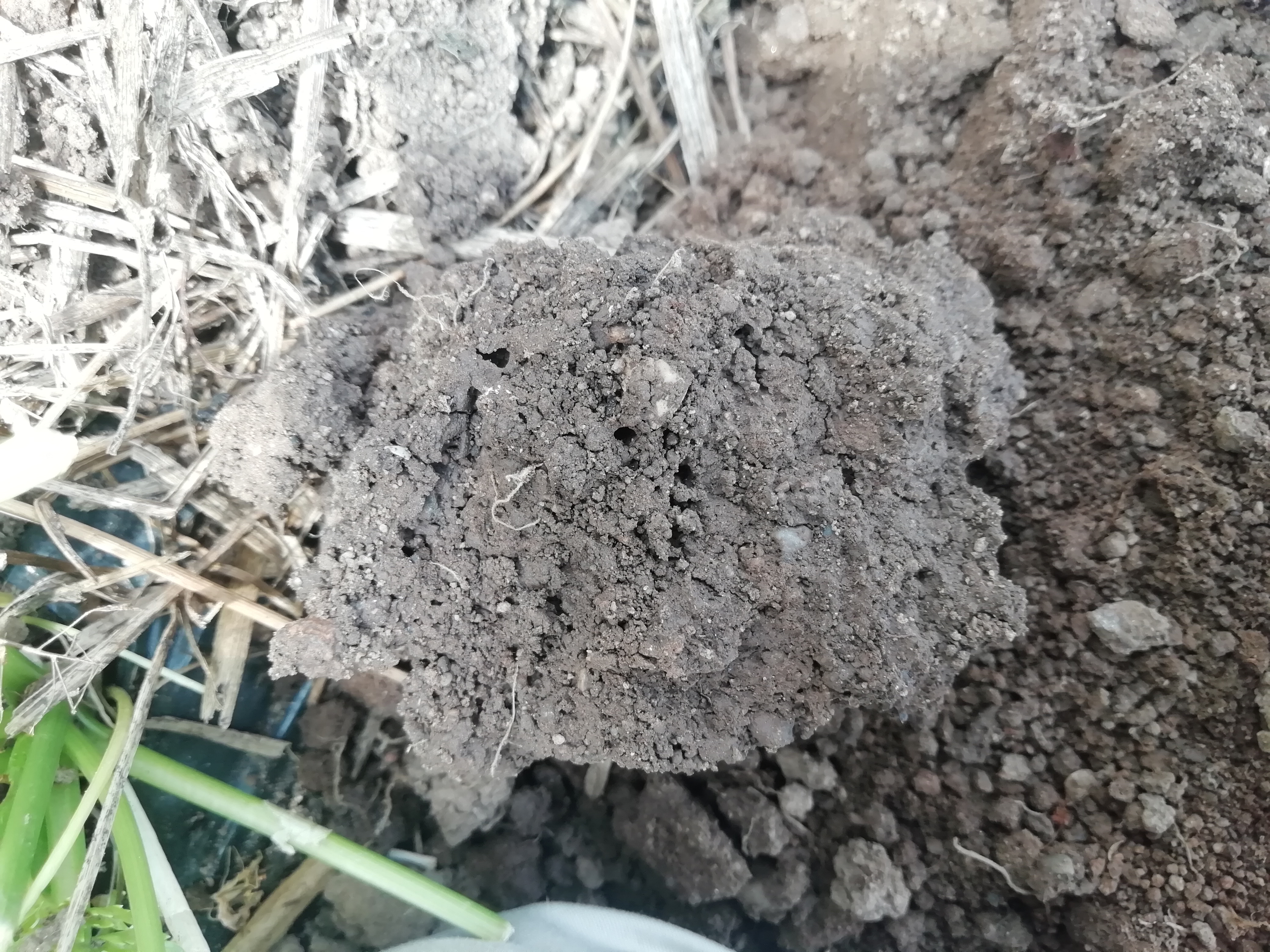 sol hingair juin 2020