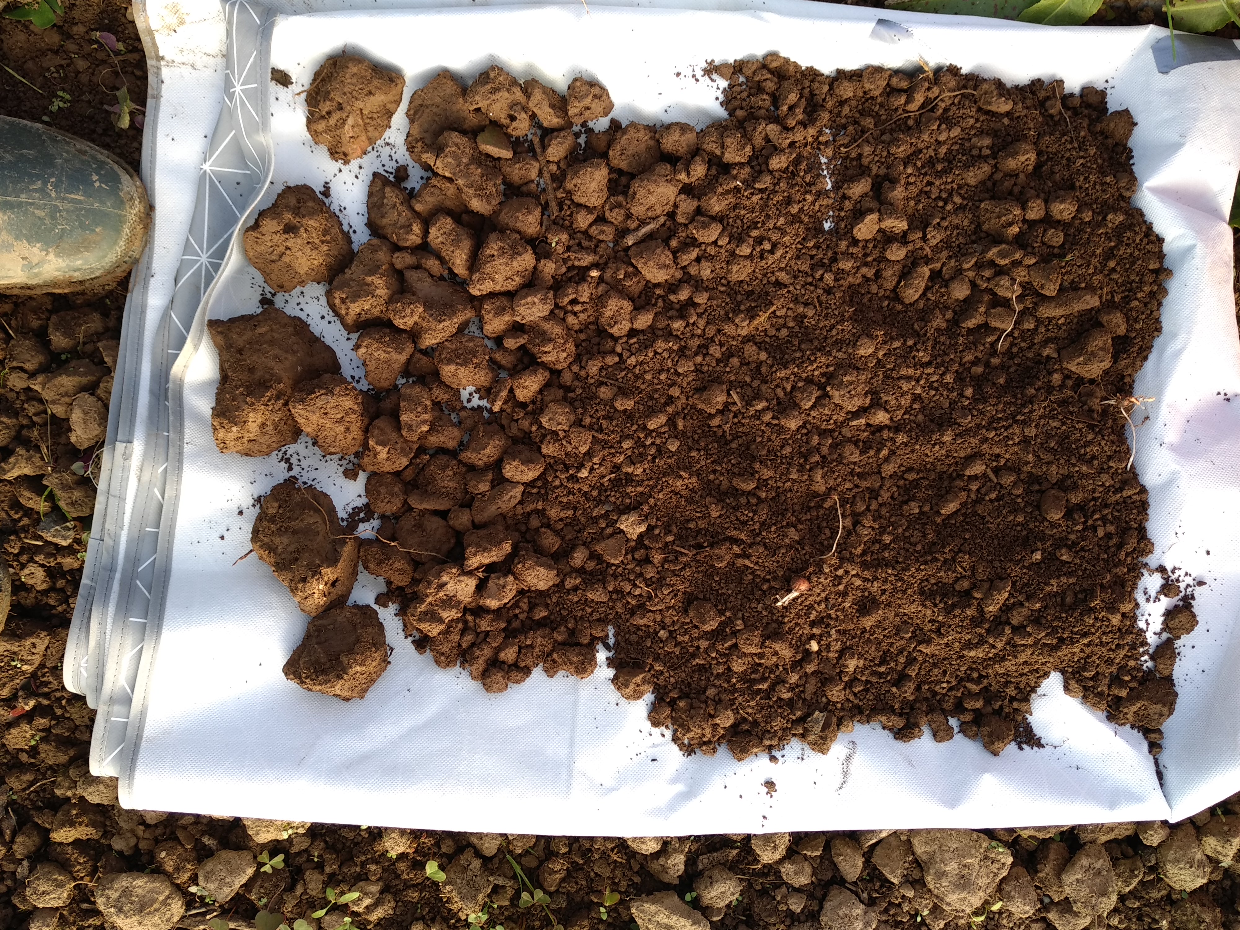 Observation dela stru