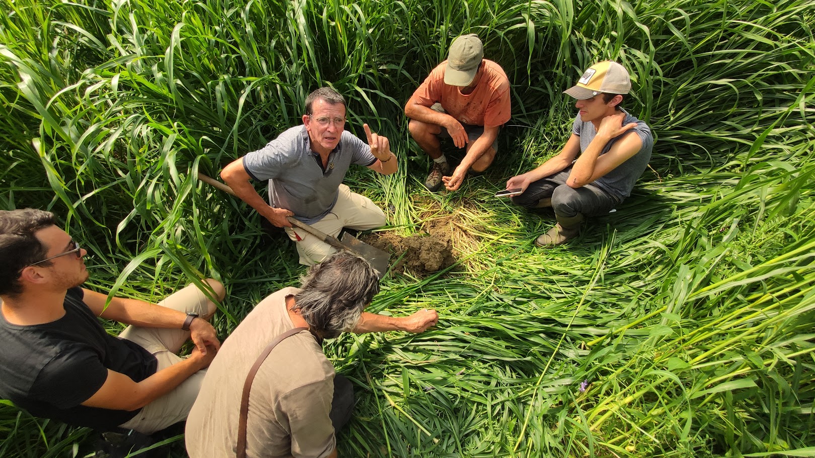 Observation du système racine du sorgho lors de la rencontre du 8 aout 2023