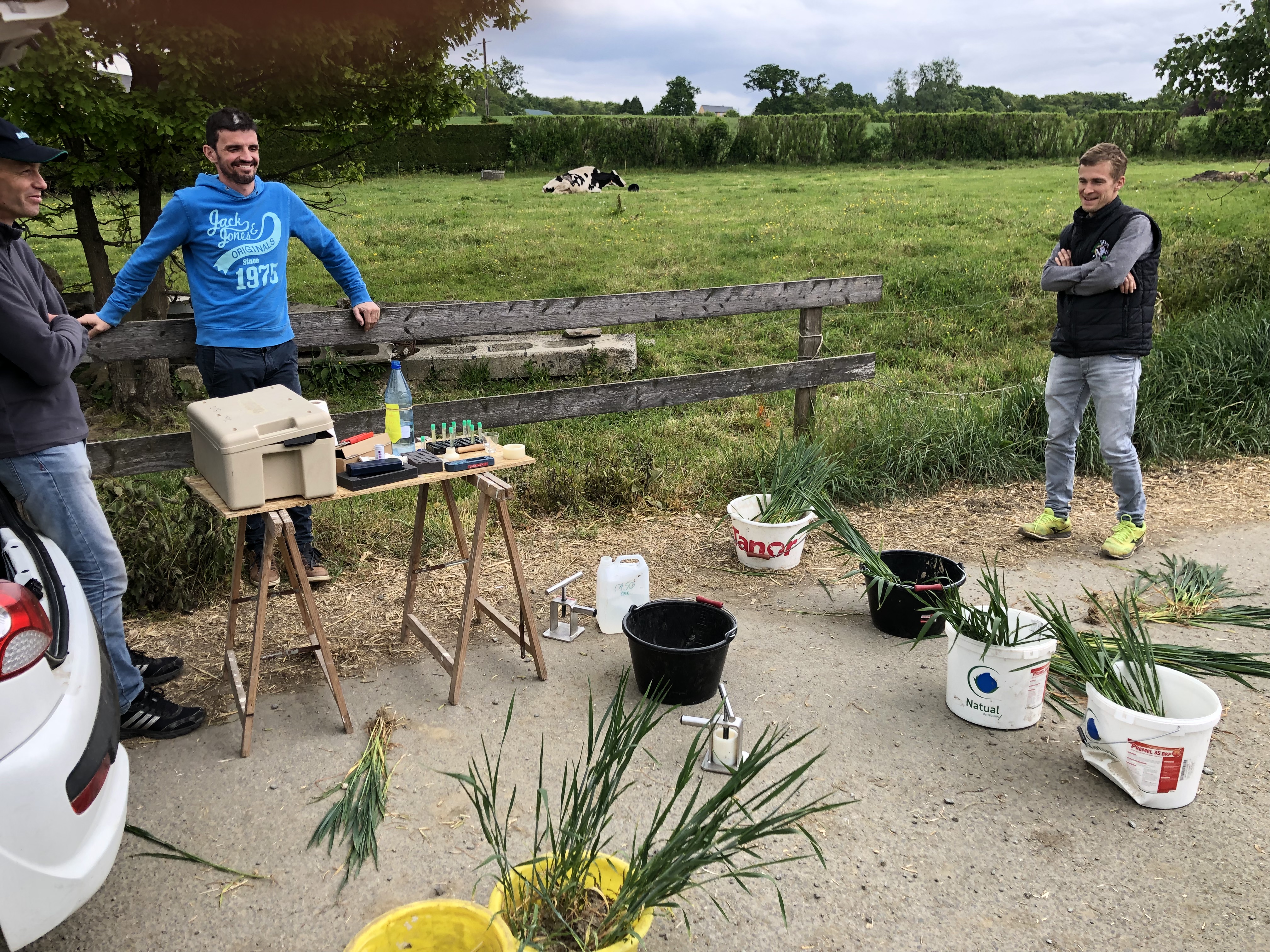 Journées : Suivi nutrition azoté et désherbage mécanique