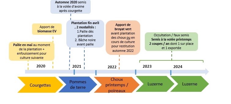 Schéma de la succession culturale