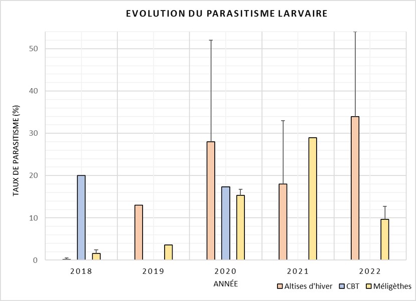 Parasitisme larvaire des coléoptères ravageurs du colza