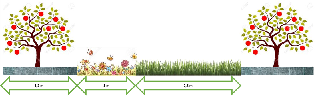 schéma dispositif Prumel Arefe