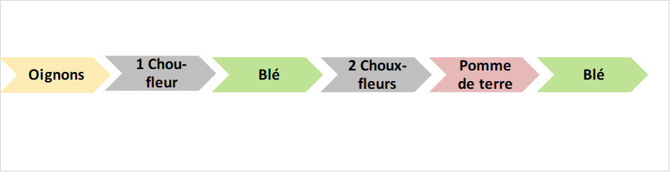 succession culturale