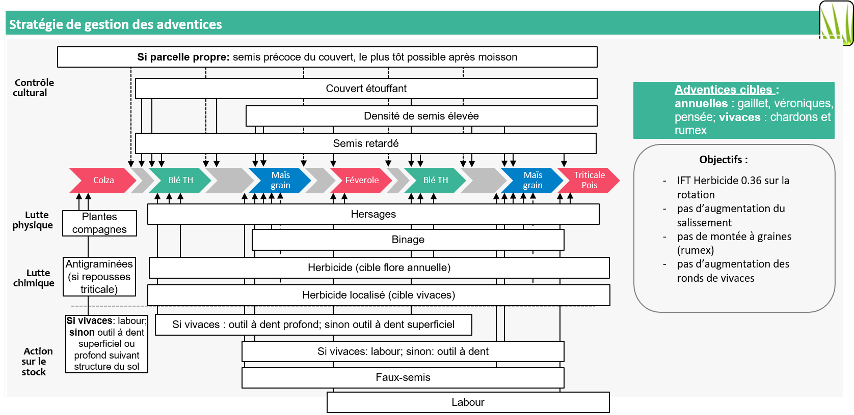 Schéma décisionnel adventices