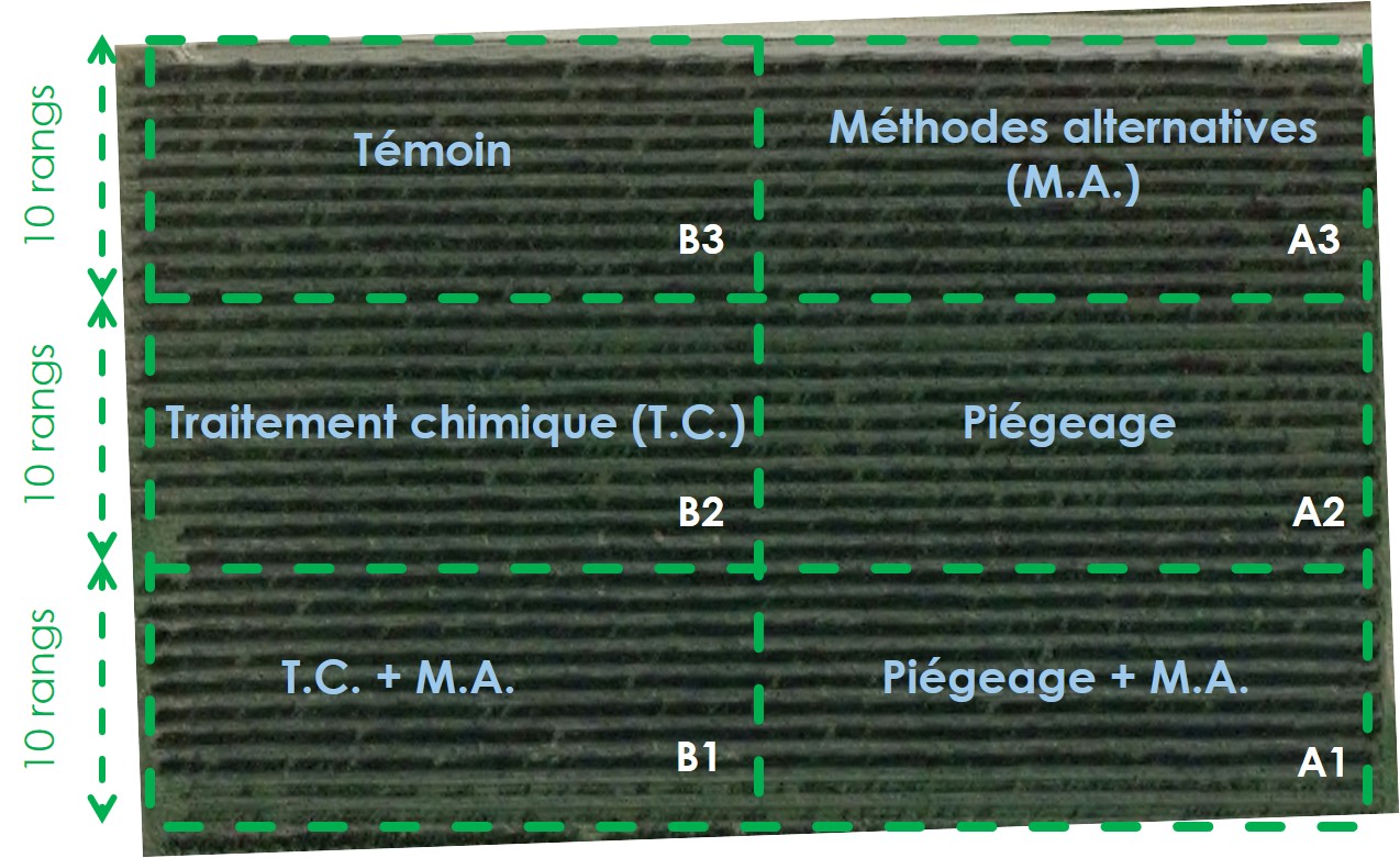 Dispositif expérimental - Verger VEREXAL